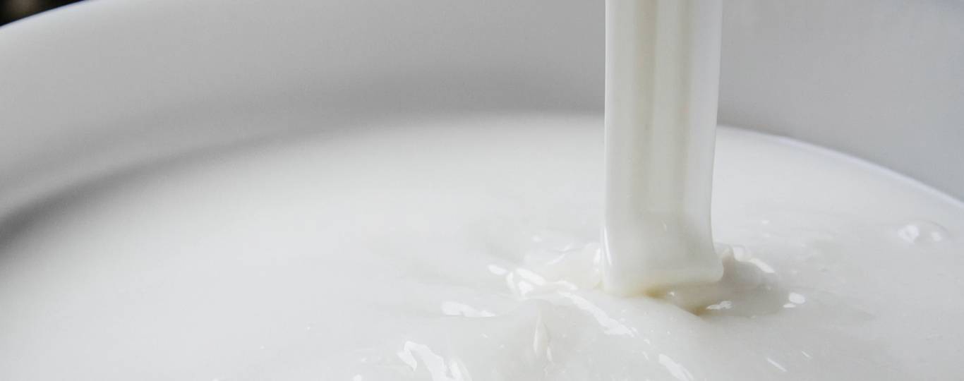 Y-FIX Labeling Adhesive